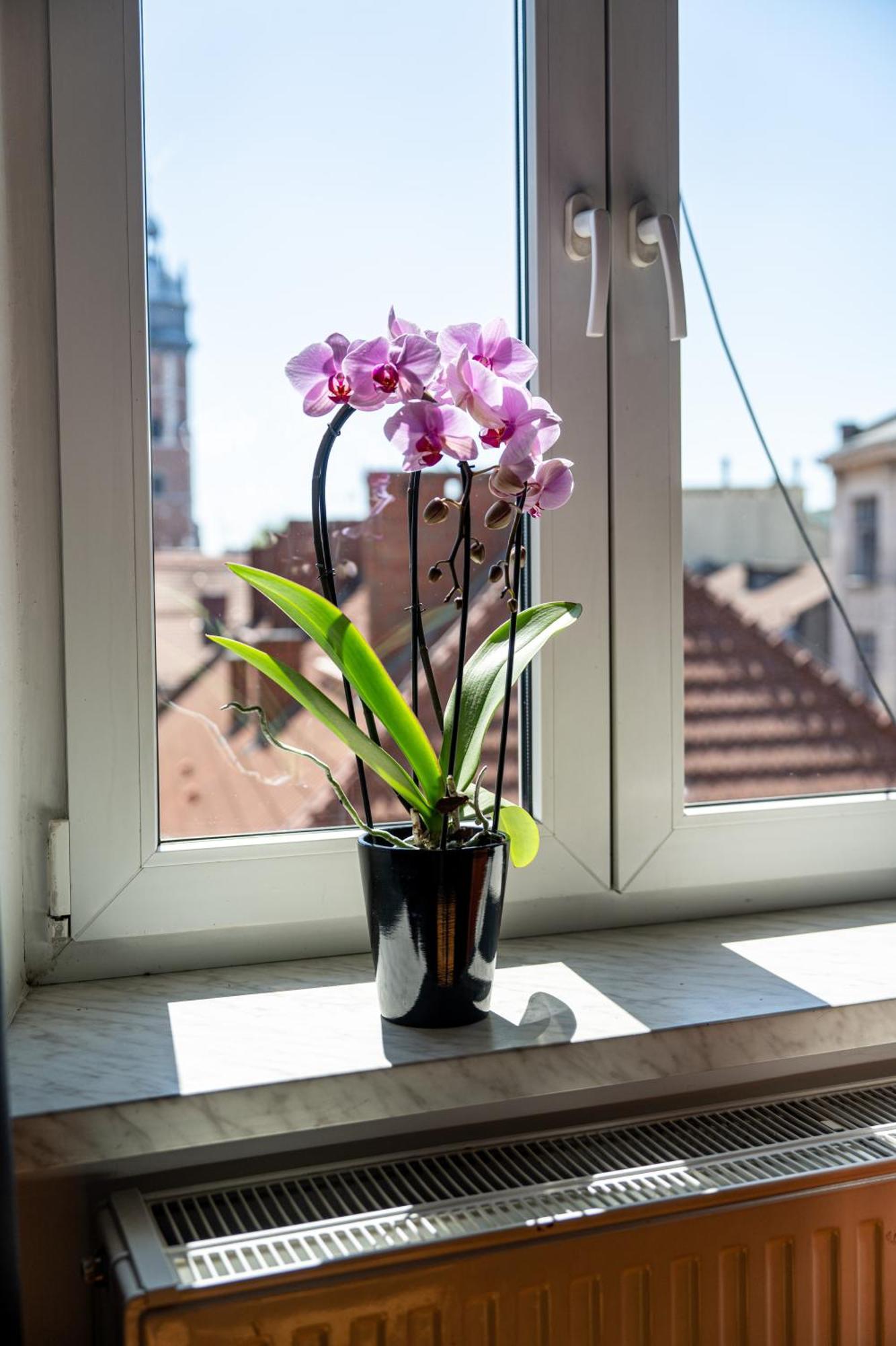 Vista View Apartment Kraków Zewnętrze zdjęcie